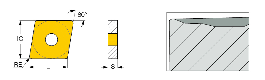CNMM 190624-H3P IC8150